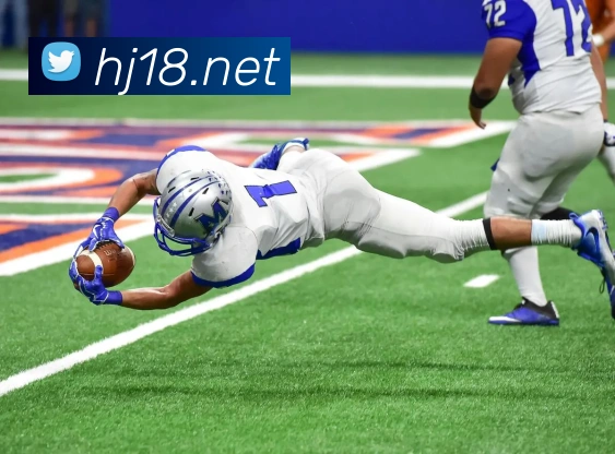 App 展示图